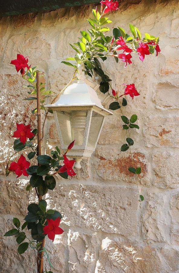 Trulli And Nature Antonelli Exterior foto