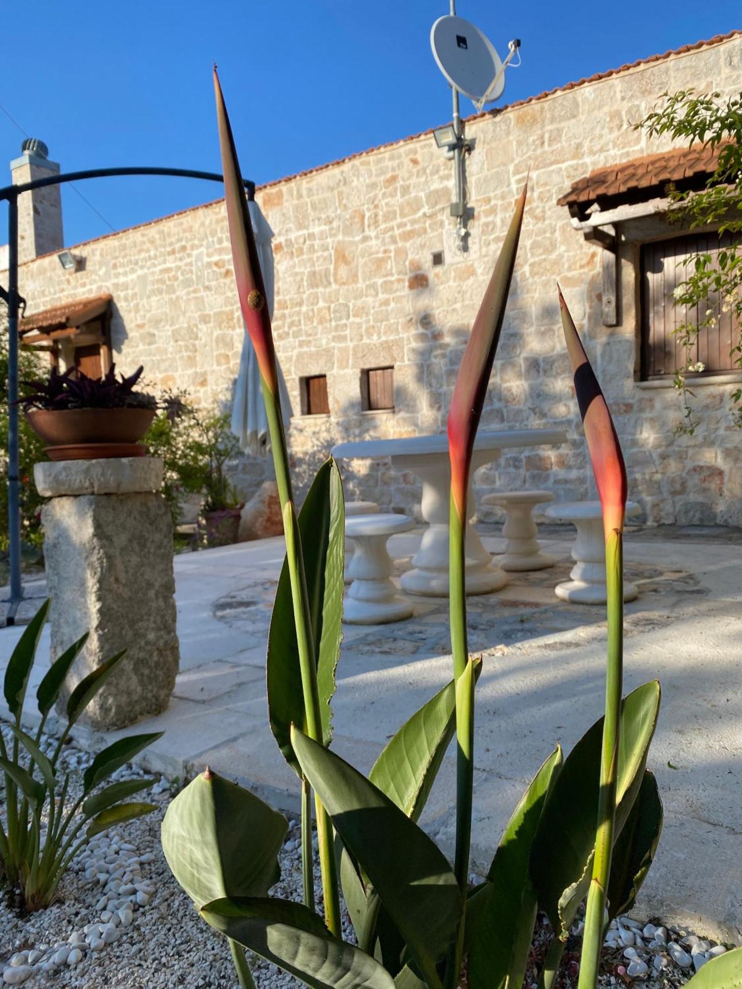 Trulli And Nature Antonelli Zimmer foto