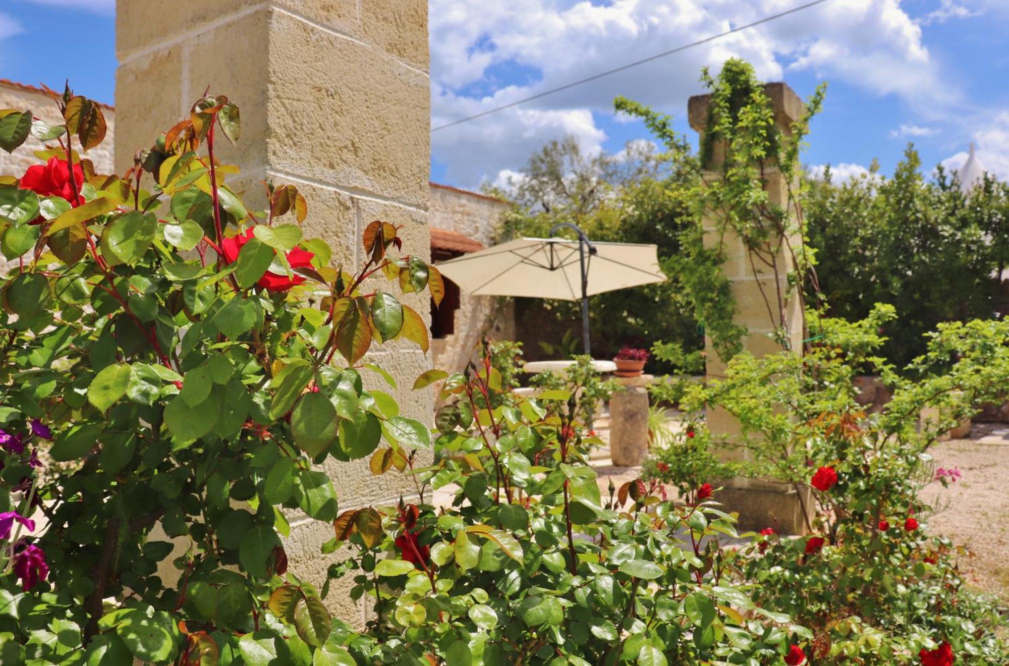 Trulli And Nature Antonelli Zimmer foto