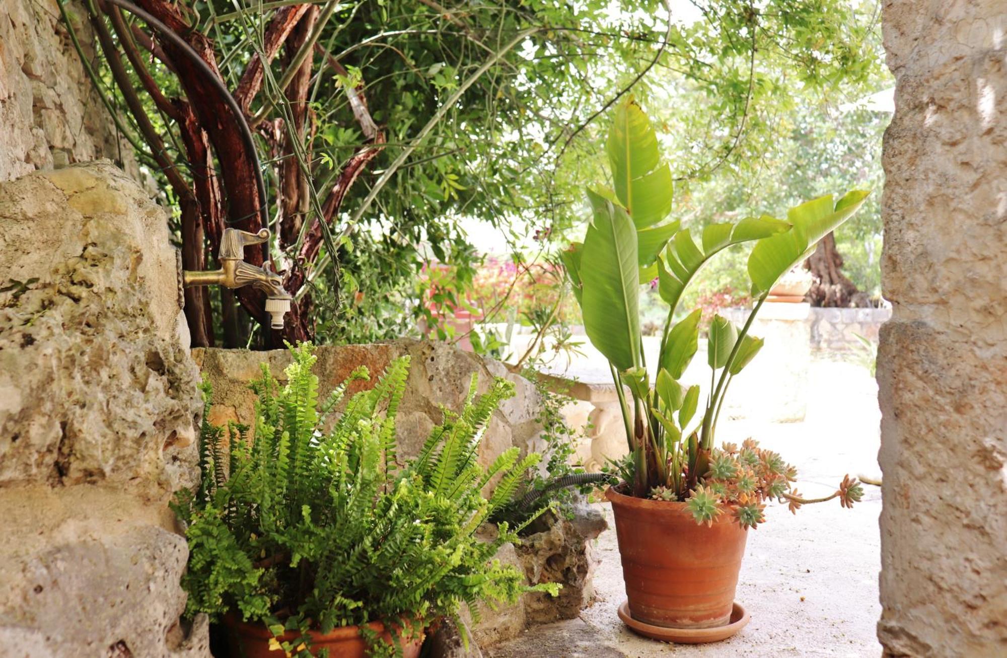 Trulli And Nature Antonelli Zimmer foto