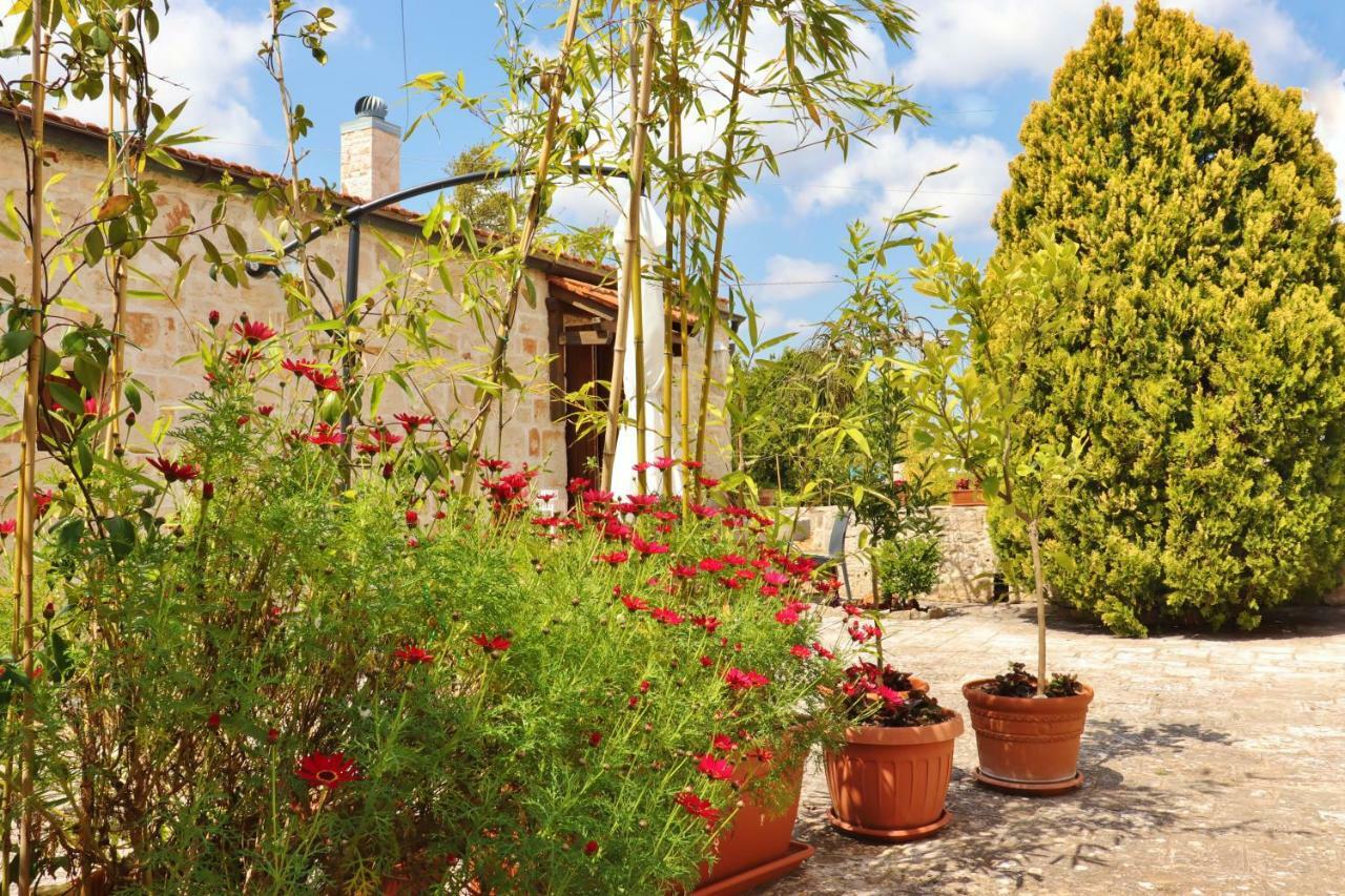 Trulli And Nature Antonelli Zimmer foto